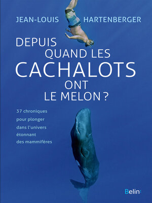 cover image of Depuis quand les cachalots ont le melon ?